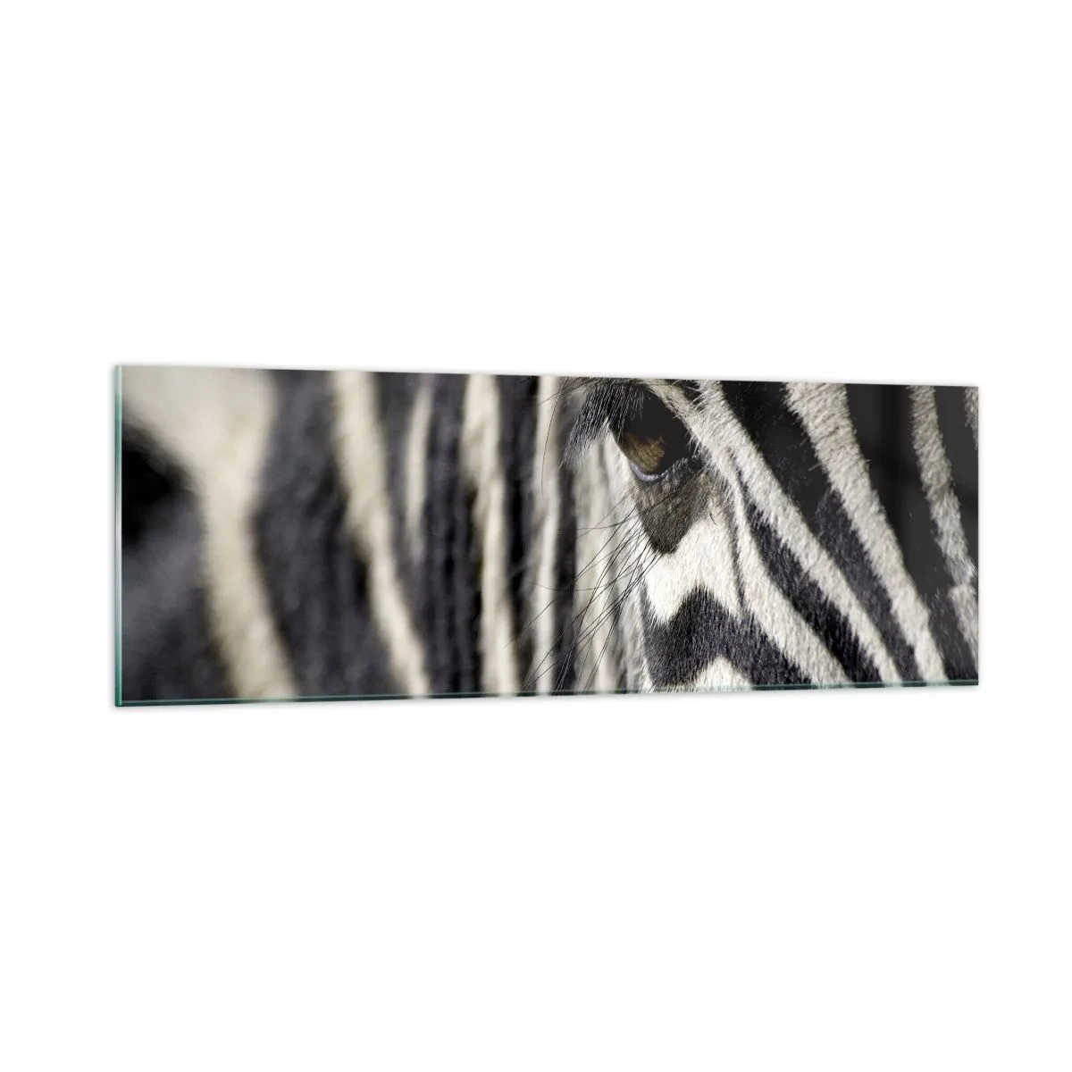 Obraz na skle - Portrét s pruhy - 90x30 cm