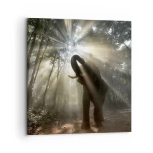 Obraz na plátně - Pod šťastnou hvězdou - 70x70 cm