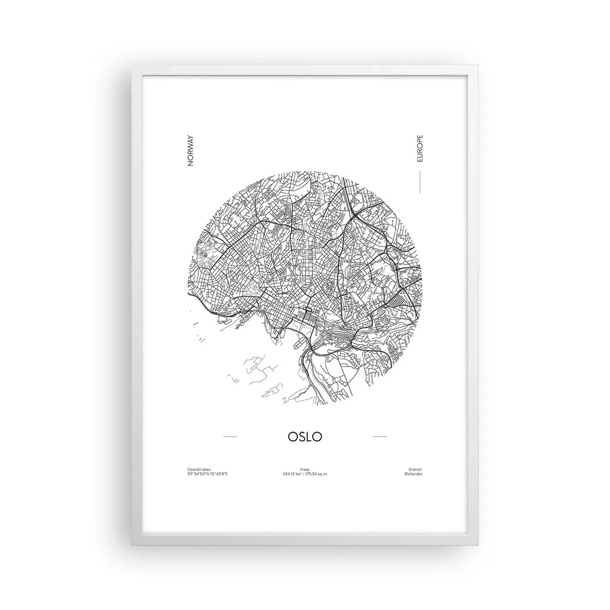 Plakát v bílém rámu - Anatomie Osla - 50x70 cm