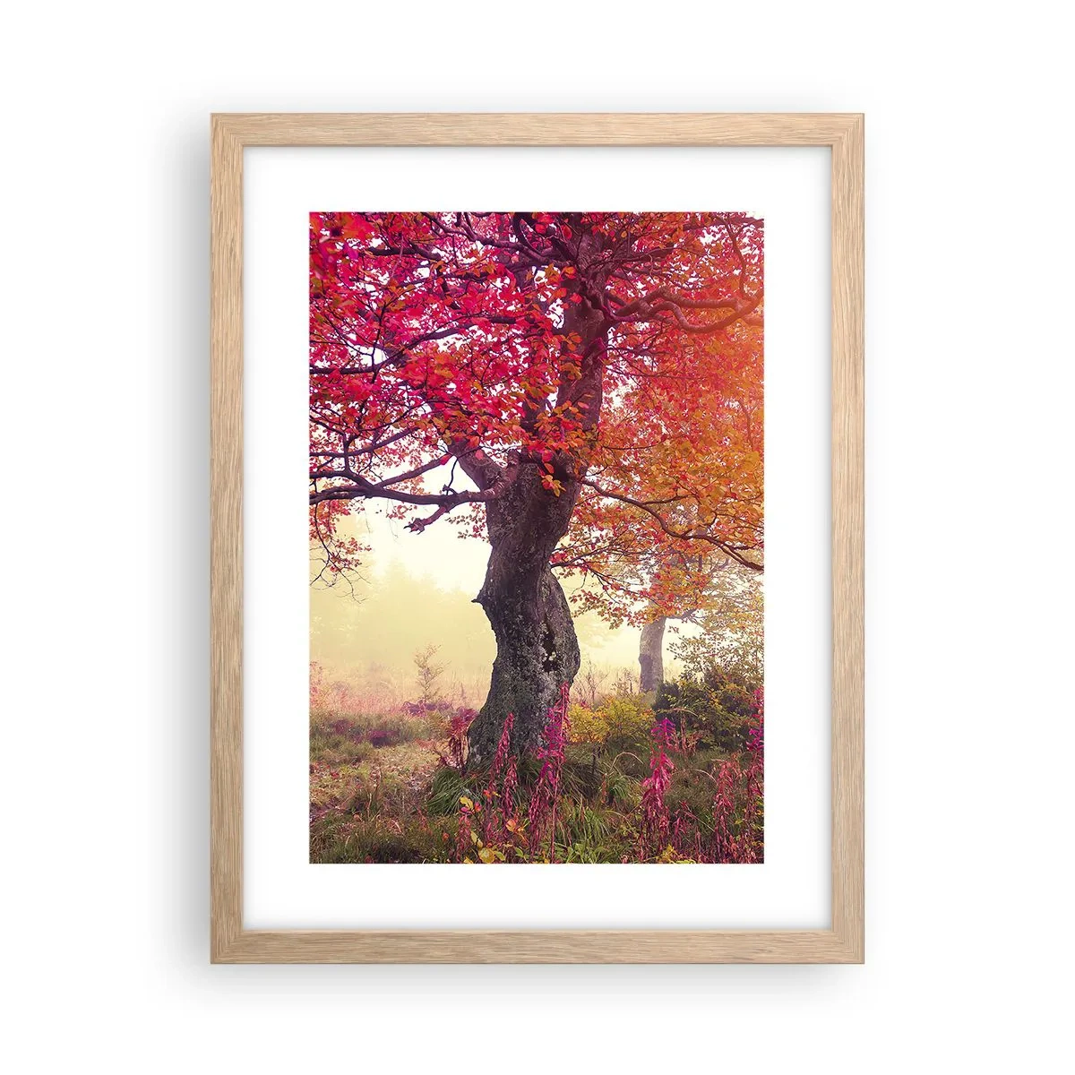 Plakát v rámu světlý dub - Šílenství rozkvětu - 30x40 cm