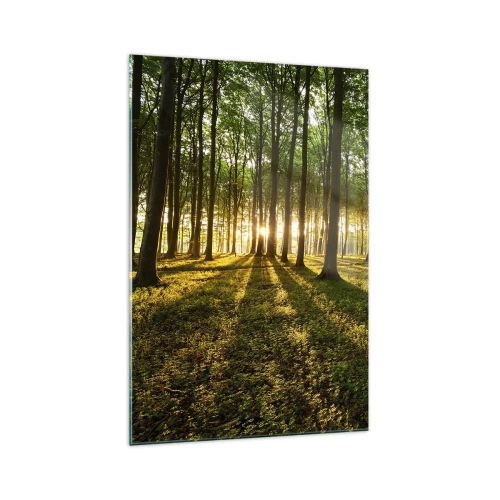 Obraz na skle - Fotografie všech jar - 70x100 cm