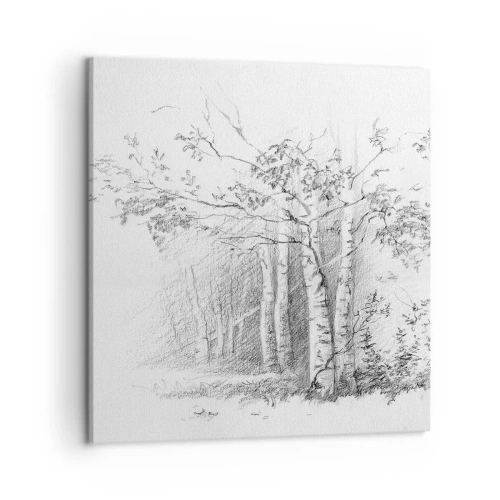 Obraz na plátně - Světlo březového lesa - 50x50 cm
