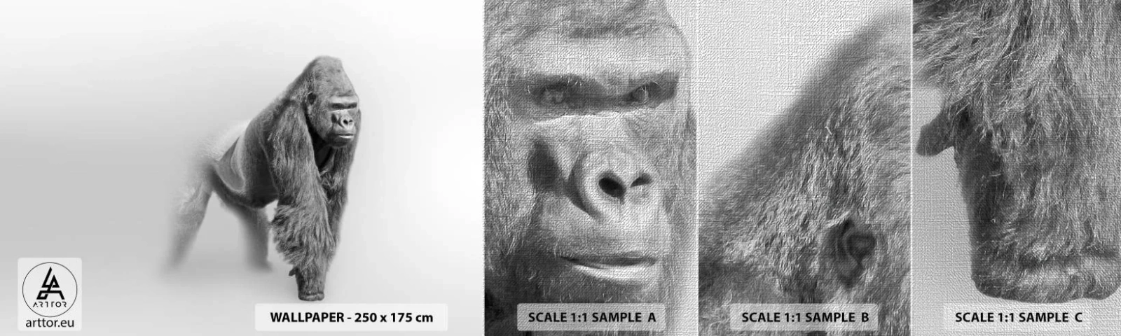 Vzor Fototapety Premium Canvas - Jistý si svojí silou - Zvířata, Gorila, Opice - 100x30 cm