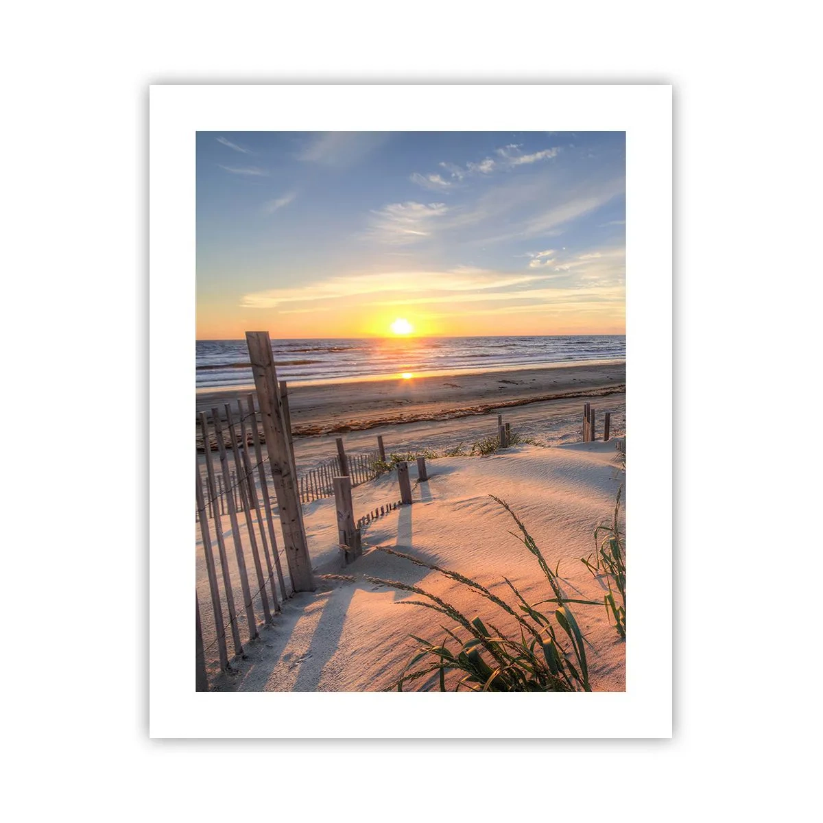 Plakát - Odlesk a stín větru - 40x50 cm