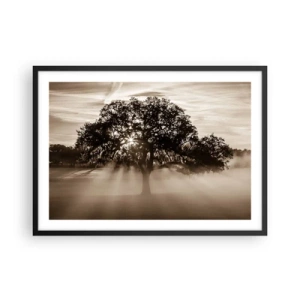 Plakát v černém rámu - Strom zpráv samotného dobra - 70x50 cm
