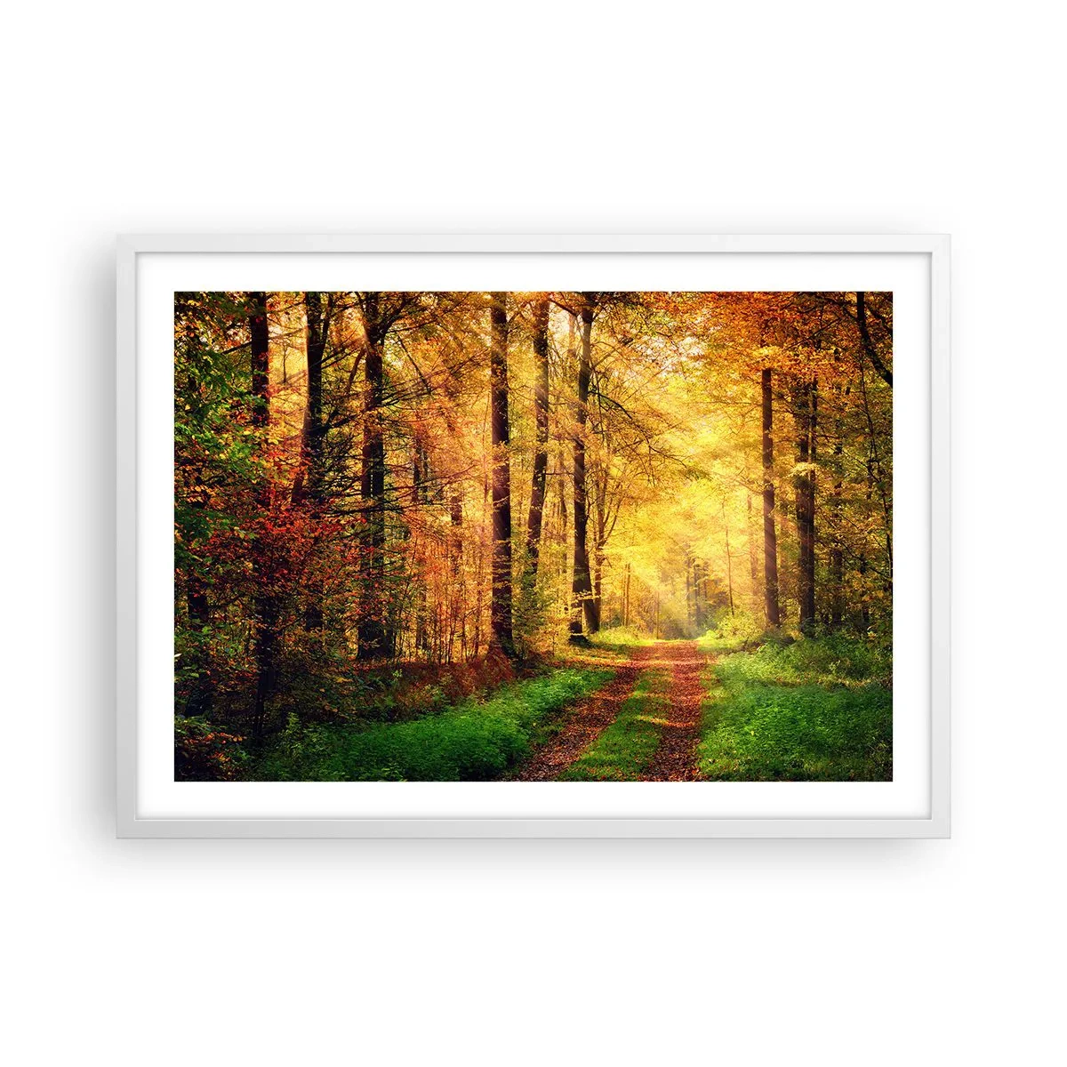 Plakát v bílém rámu - Lesně-zlaté ticho - 70x50 cm