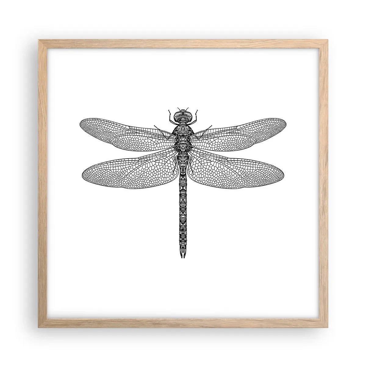Plakát v rámu světlý dub - Přesnost přírody - 50x50 cm