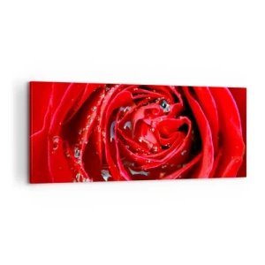 Obraz na plátně - V kapkách rosy - 100x40 cm