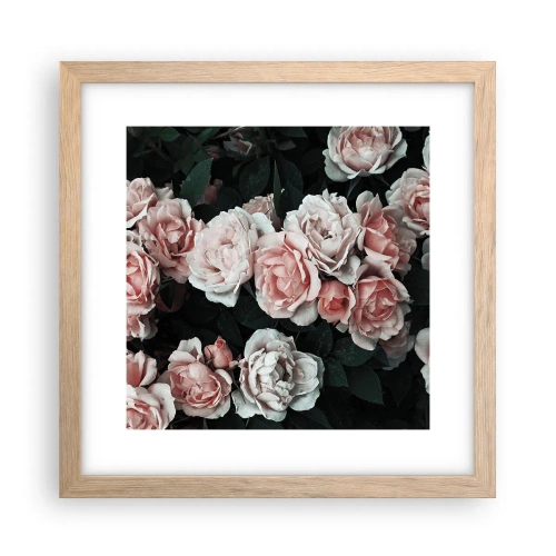 Plakát v rámu světlý dub - Růžový ansámbl - 30x30 cm