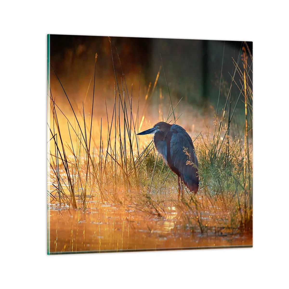 Obraz na skle - Ušetřete mě těch fotek - 70x70 cm