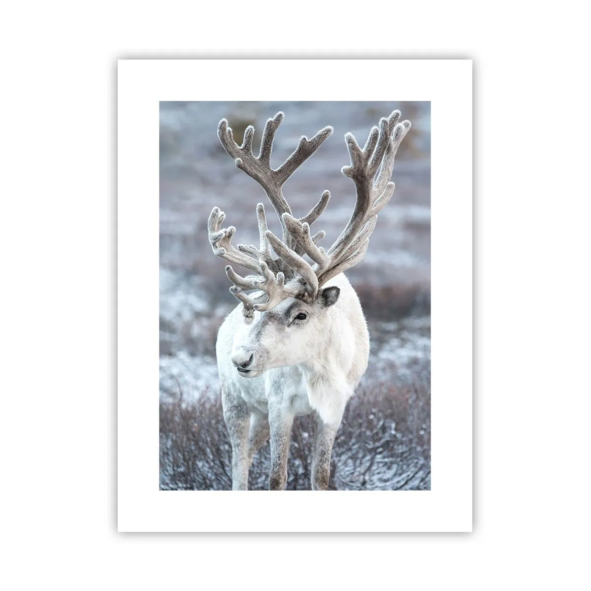 Plakát - Sluneční portrét - 30x40 cm