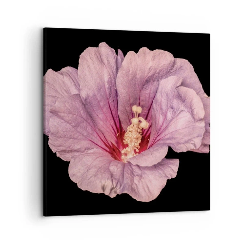 Obraz na plátně - Přímo do srdce - 60x60 cm