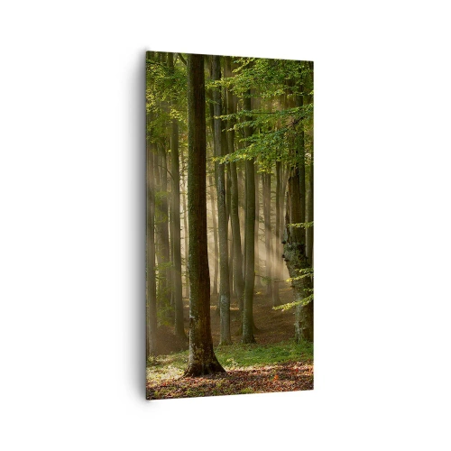 Obraz na plátně - Rozzářený v jarním ránu - 65x120 cm