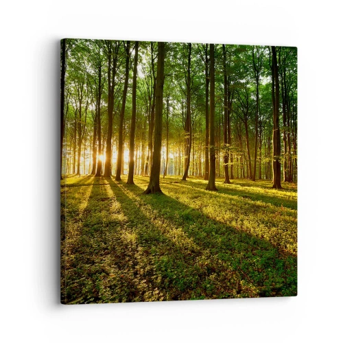Obraz na plátně - Fotografie všech jar - 30x30 cm