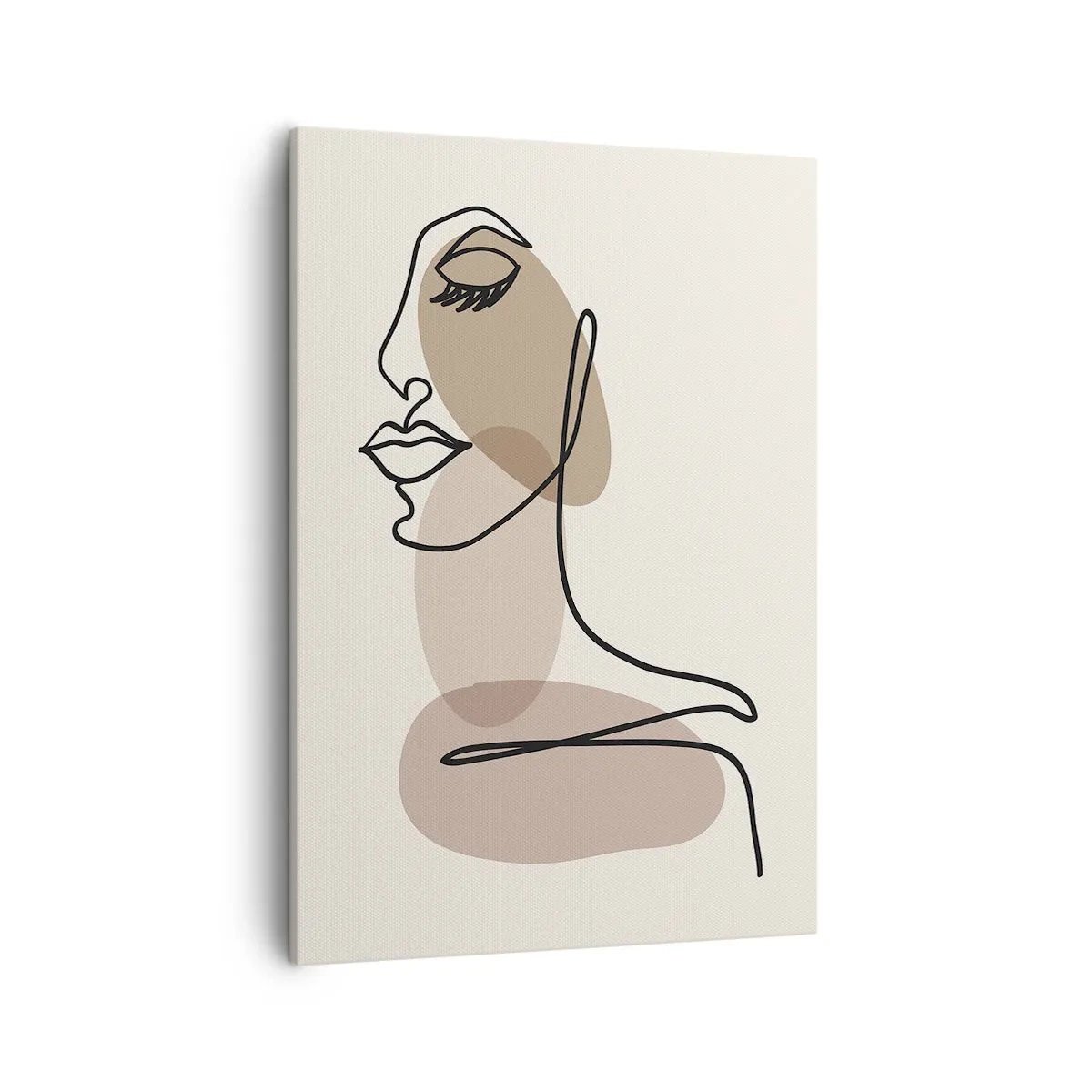 Obraz na plátně - Určitá linie krásy - 50x70 cm