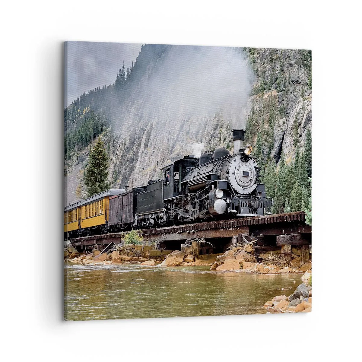 Obraz na plátně - Kampak? Kam? - 50x50 cm