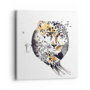 Obraz na plátně - Dravá krása - 40x40 cm