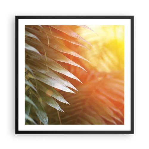 Plakát v černém rámu - Ráno v džungli - 60x60 cm