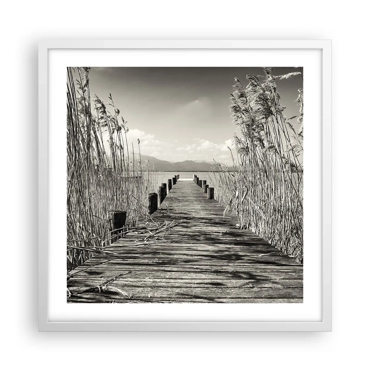 Plakát v bílém rámu - V ústraní travin - 50x50 cm