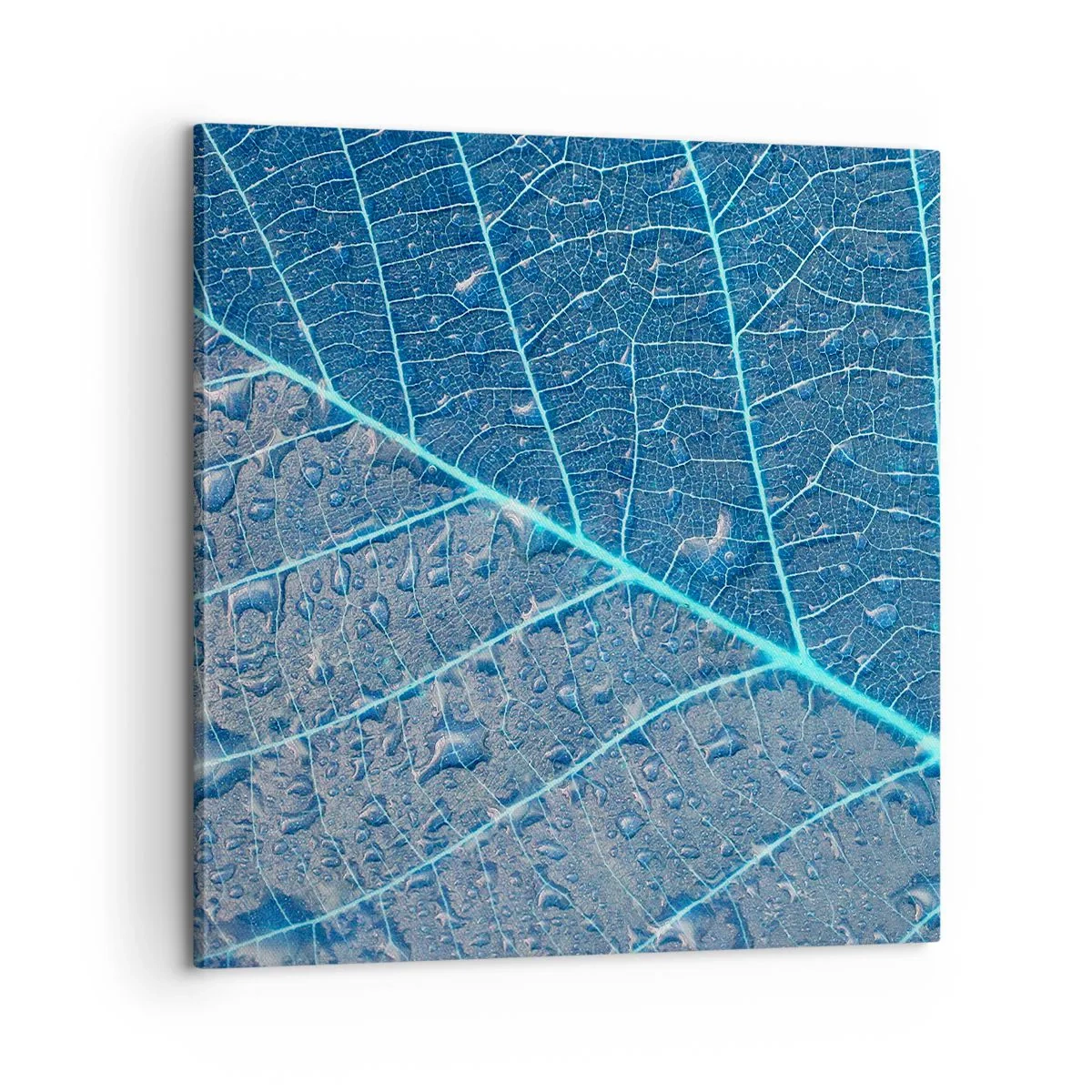 Obraz na plátně - Život v modři - 60x60 cm
