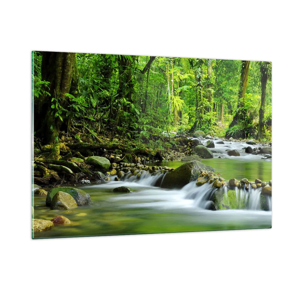 Obraz na skle - Plout mořem zeleně - 120x80 cm