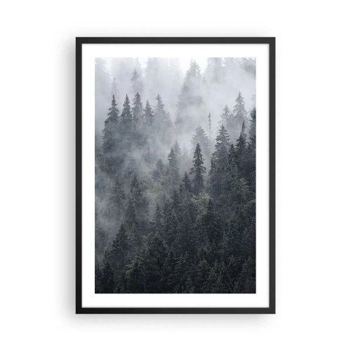 Plakát v černém rámu - Mlžný les s vysokými jehličnany - 50x70cm - Lesní svítání - Moderní nástěnná dekorace do obývacího pokoje a ložnice ARTTOR