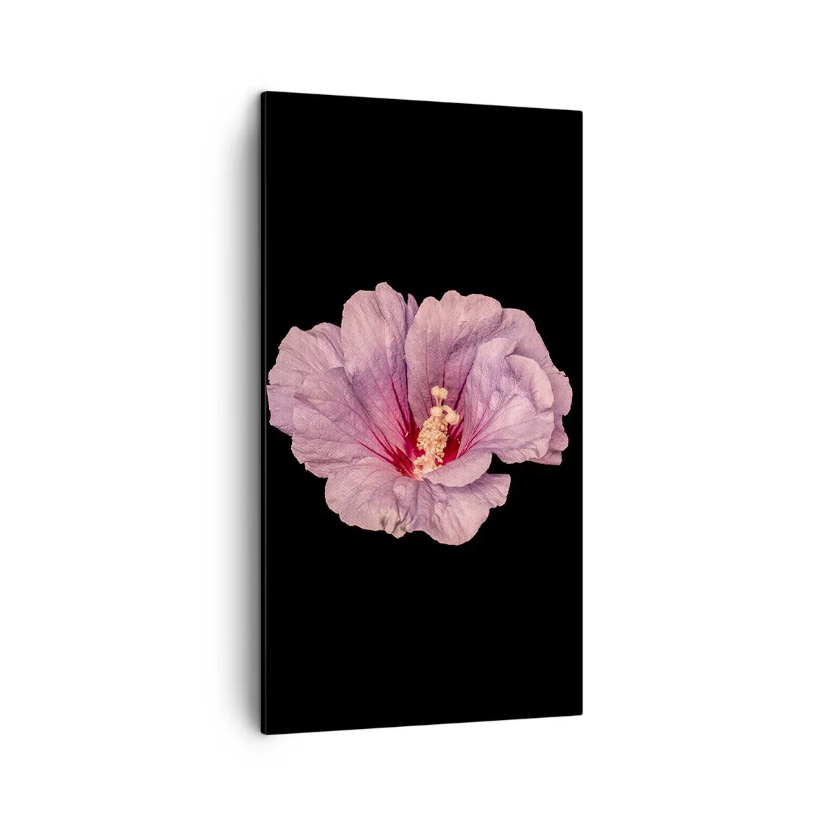 Obraz na plátně - Přímo do srdce - 45x80 cm