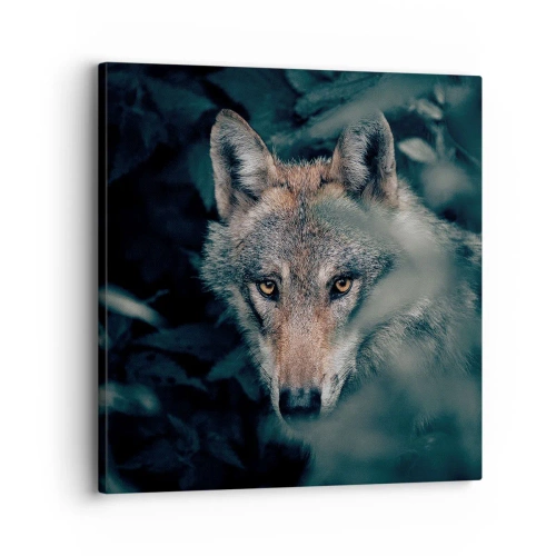 Obraz na plátně - Predátor - 30x30 cm