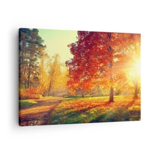 Obraz na plátně - Podzimní park ozářený slunečním světlem - 70x50cm - Rudé je krásné - Moderní nástěnná dekorace do obývacího pokoje a ložnice ARTTOR