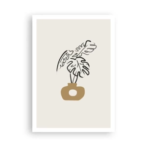 Plakát - Monstera – ozdoba pro domácnost - 70x100 cm