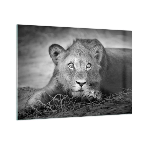 Obraz na skle - Královské štěně - 100x70 cm