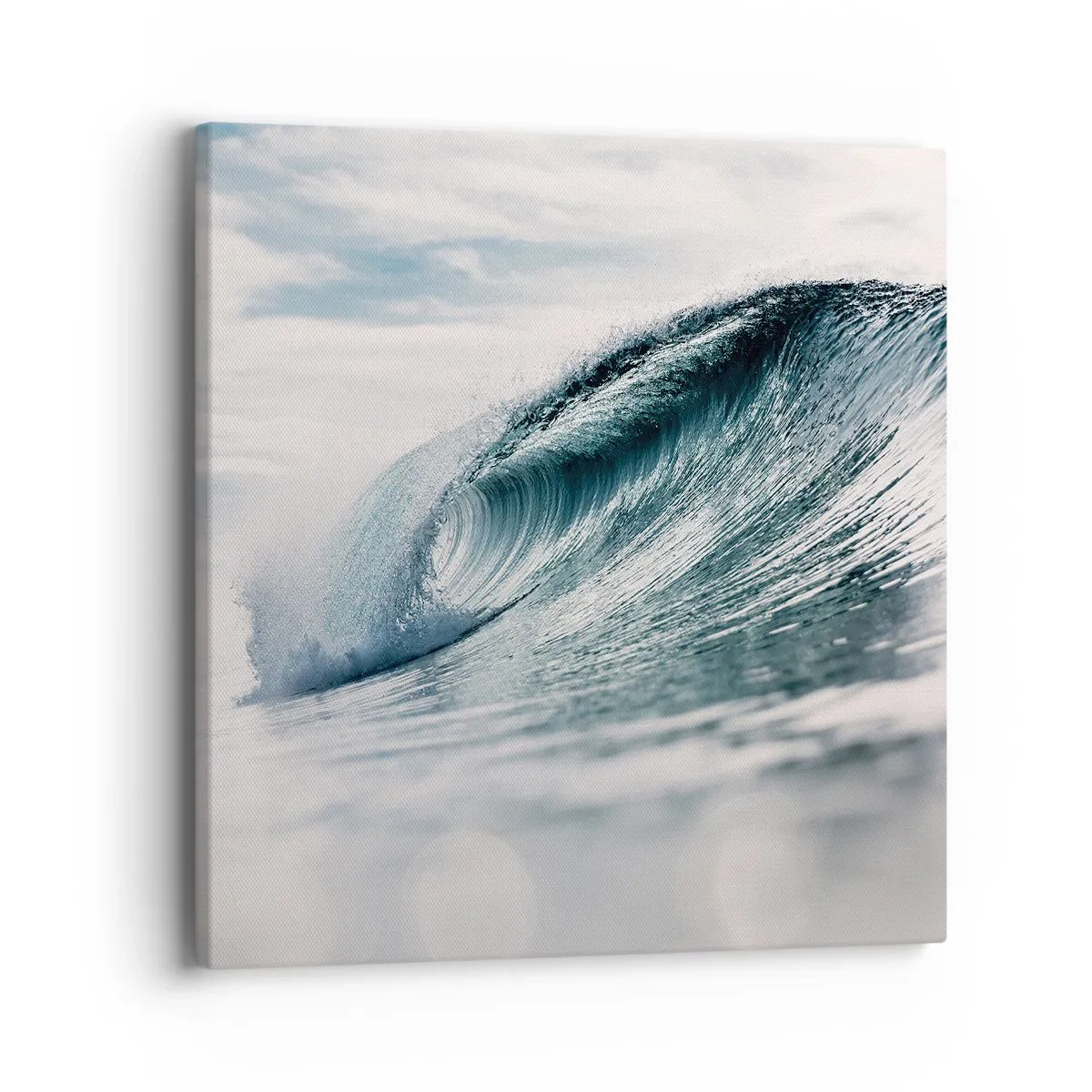 Obraz na plátně - Vodní špička - 40x40 cm