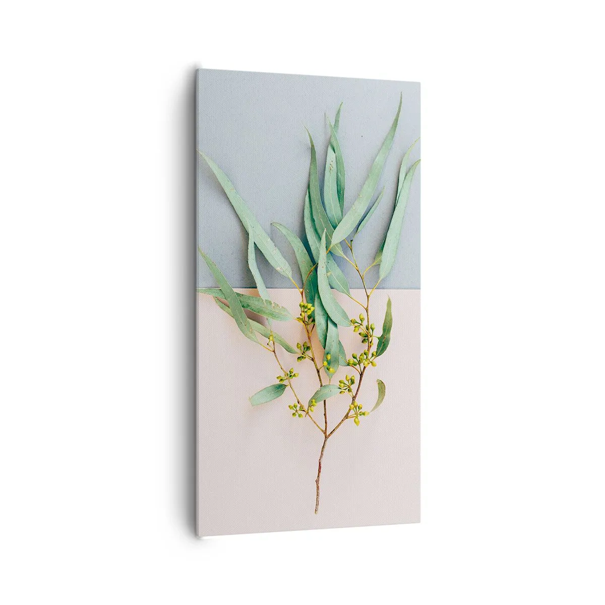 Obraz na plátně - Pastelová jemnost - 65x120 cm