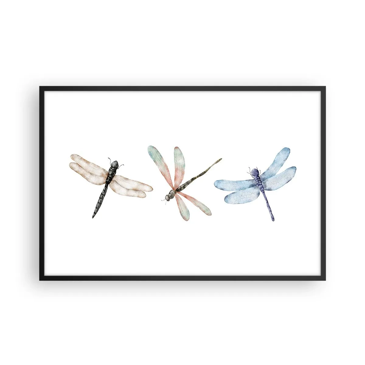 Plakát v černém rámu - Beztížné vážky - 91x61 cm