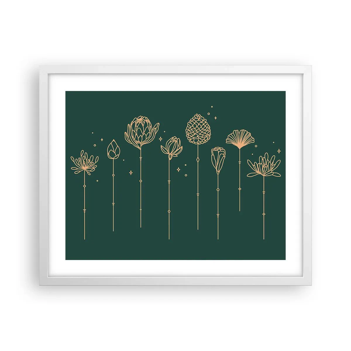 Plakát v bílém rámu - Bylinky - 50x40 cm