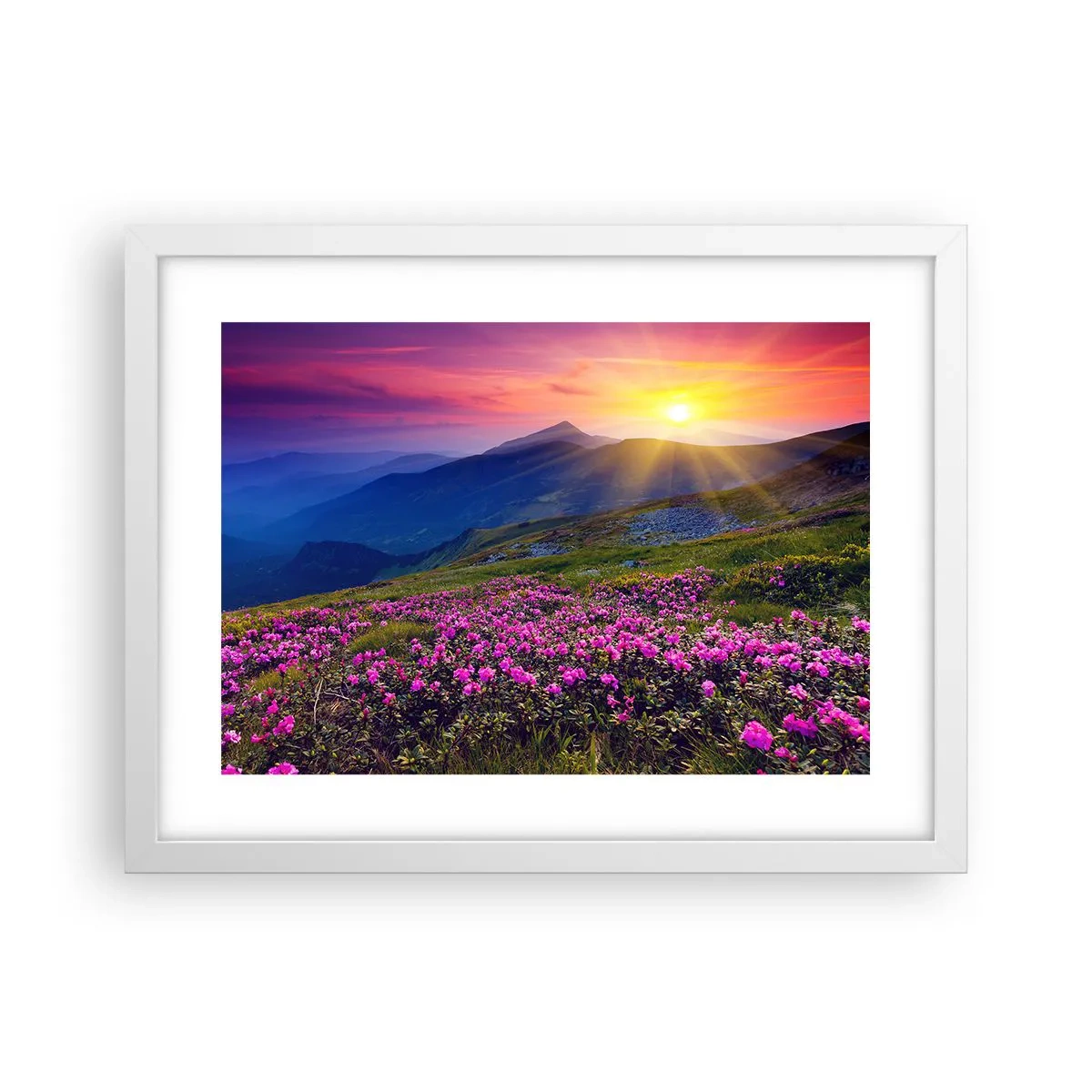 Plakát v bílém rámu - …A kolem voní kosodřevina a voní byliny - 40x30 cm