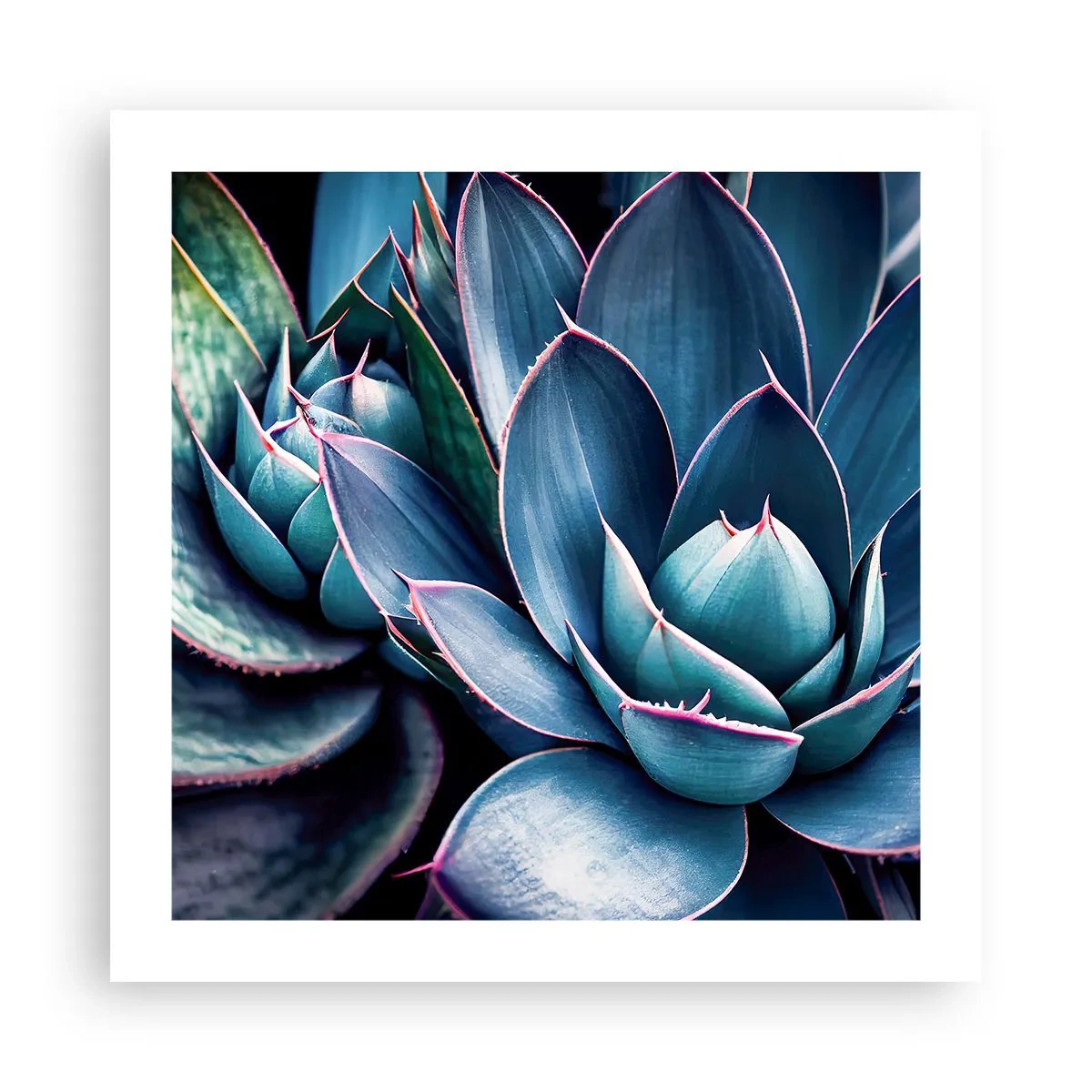 Plakát - Vitální síla - 50x50 cm