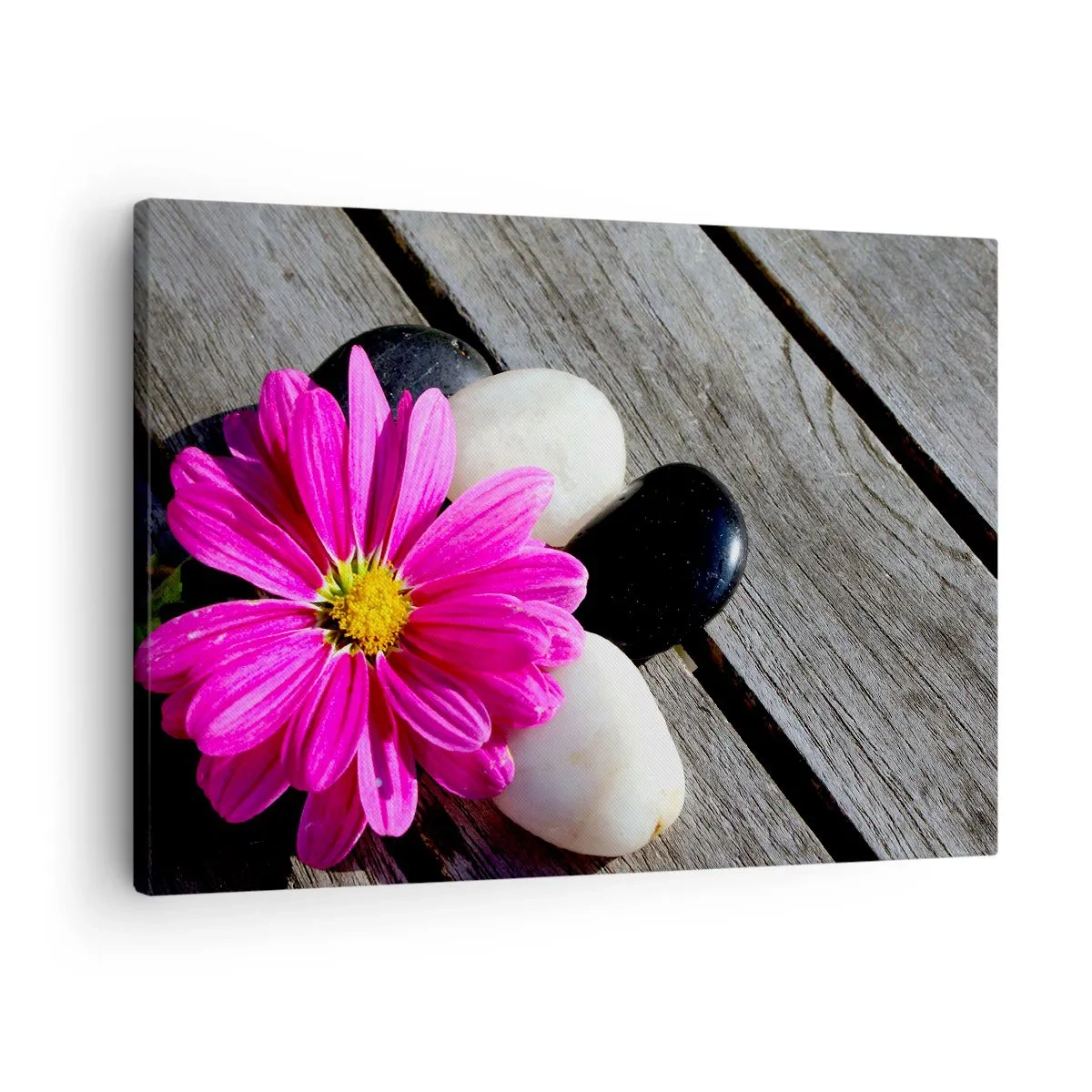Obraz na plátně - Růžový květ na pozadí dřevěných desek s kameny - 70x50cm - Odpočinek na molu - Moderní nástěnná dekorace do obývacího pokoje a ložnice ARTTOR