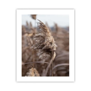 Plakát - Čas odletět s větrem - 40x50 cm