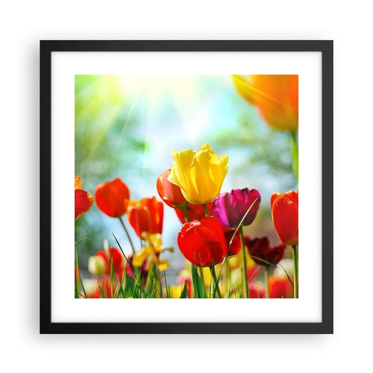 Plakát v černém rámu - Všechny barvy slunce - 40x40 cm