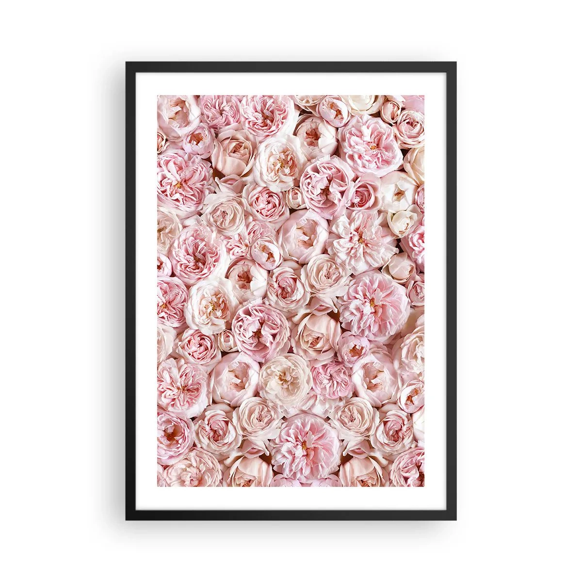 Plakát v černém rámu - Romantické aranžmá z růžových květin zblízka - 50x70cm - Vydlážděná růžemi - Moderní nástěnná dekorace do obývacího pokoje a ložnice ARTTOR