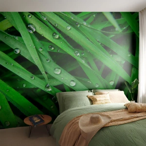 Fototapeta Samolepicí Deluxe Sticker - Hrajte na zelenou - Příroda, Zelená tráva, Zahrada - 350x256 cm
