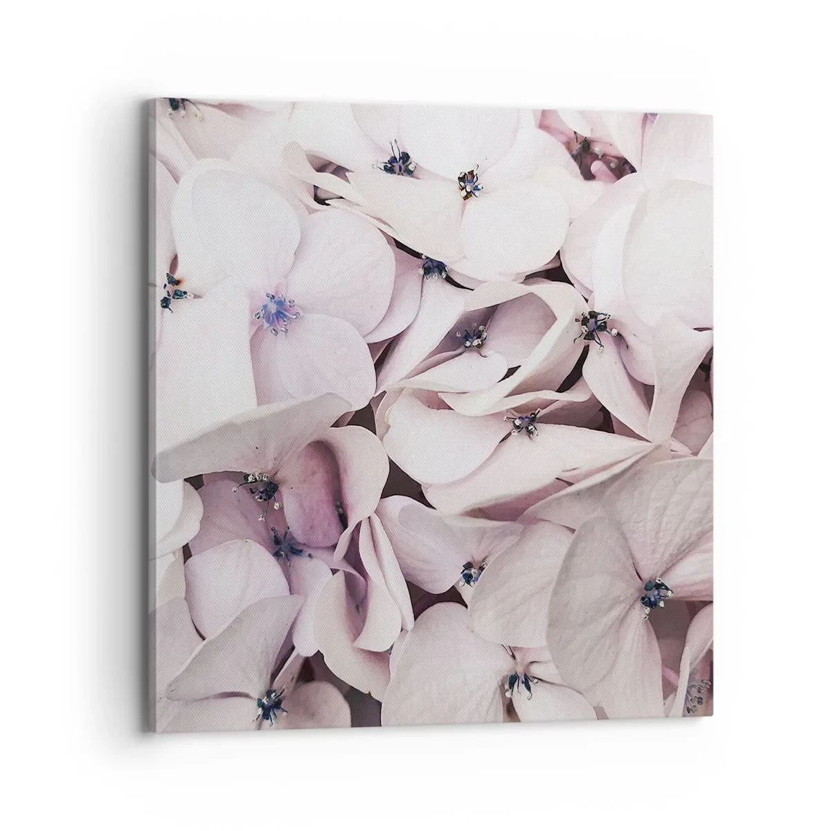 Obraz na plátně - V záplavě květin - 70x70 cm