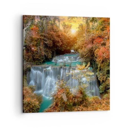 Obraz na plátně - Ukrytý poklad lesa - 70x70 cm