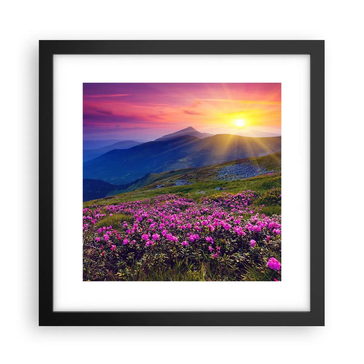 Plakát v černém rámu - …A kolem voní kosodřevina a voní byliny - 30x30 cm