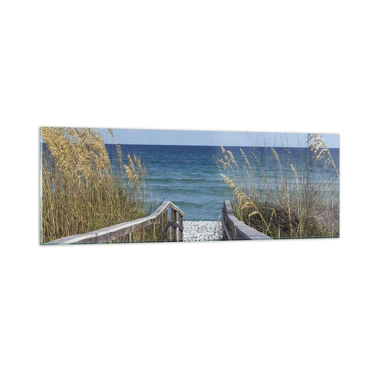 Obraz na skle - Na slunci, ve větru - 90x30 cm