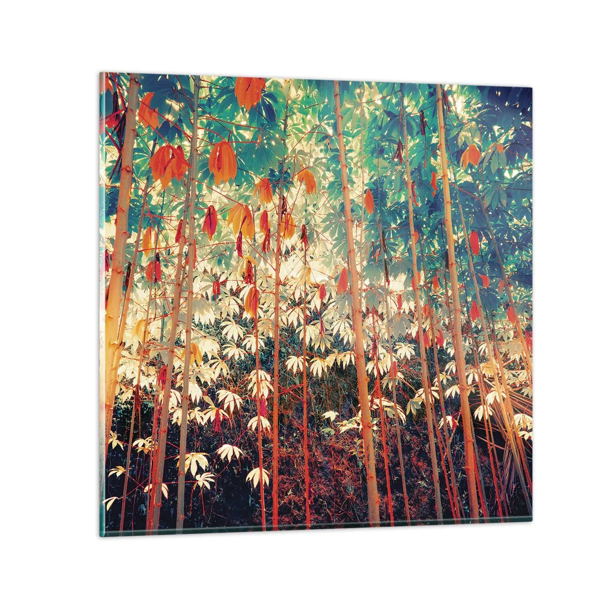 Obraz na skle - Tajný život listů - 30x30 cm