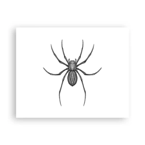 Plakát - Znepokojivá přesnost - 50x40 cm