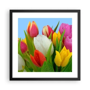 Plakát v černém rámu - Květinová duha v kapkách rosy - 40x40 cm