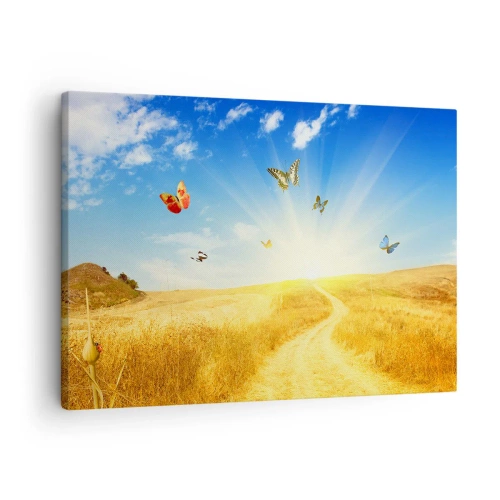 Obraz na plátně - Zlaté pole, cesta a motýli proti modré obloze - 70x50cm - Jak nemilovat léto? - Moderní nástěnná dekorace do obývacího pokoje a ložnice ARTTOR